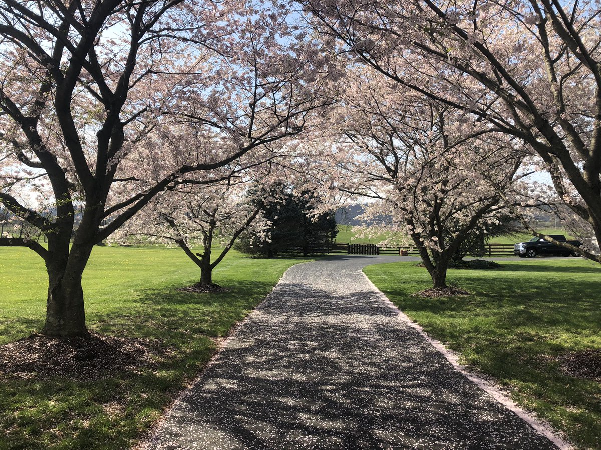 Spring