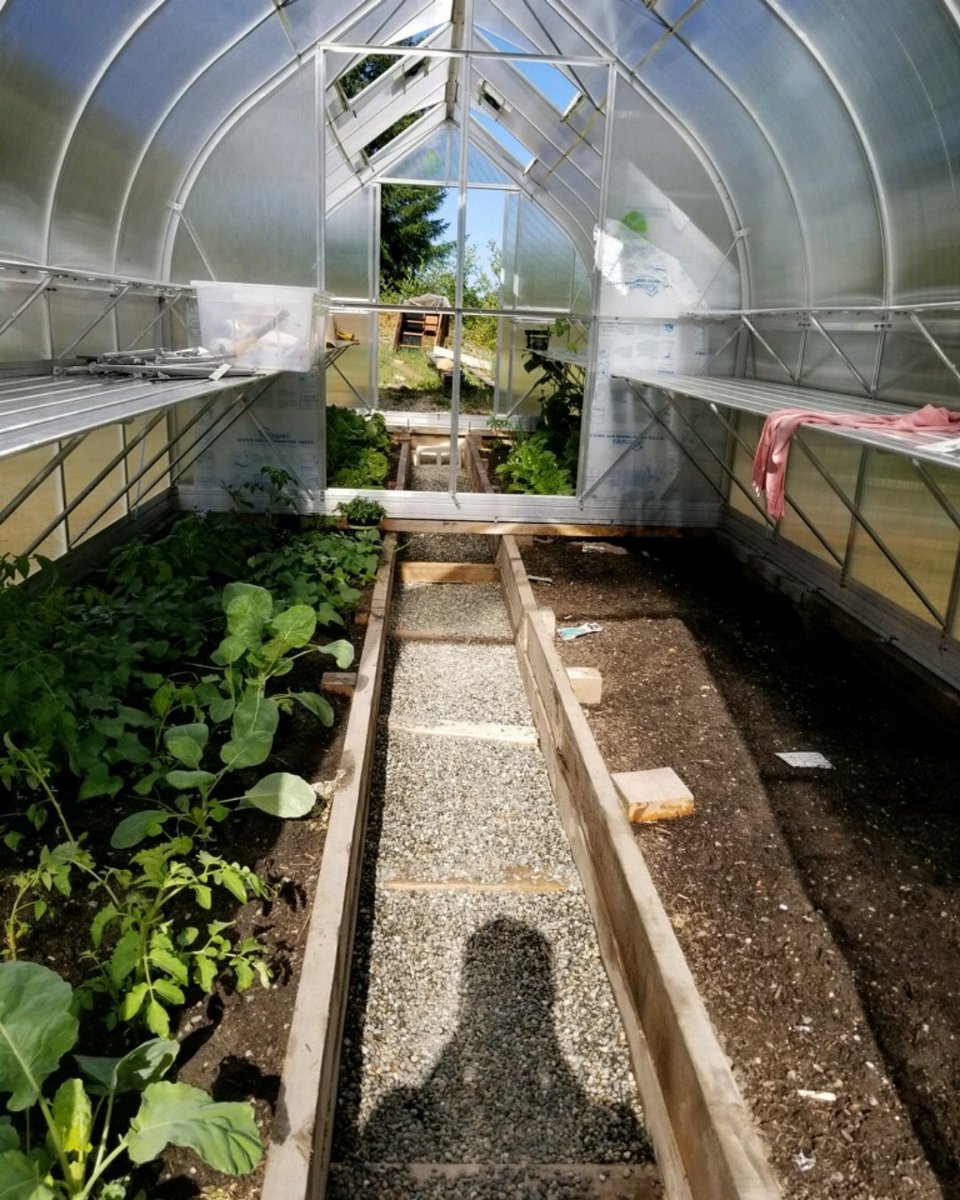climapod's tweet photo. β model: PASSION 9x28β
Greenhouse photo from one of our happy ClimaPod customersβ
β
more Information at:β
https://t.co/83PS2xJMtYβ
π² 206.495.7790β
#climapod #climashell #glasshouse #usagardener #gardenphoto #greenhouse https://t.co/bXlSTp61pT