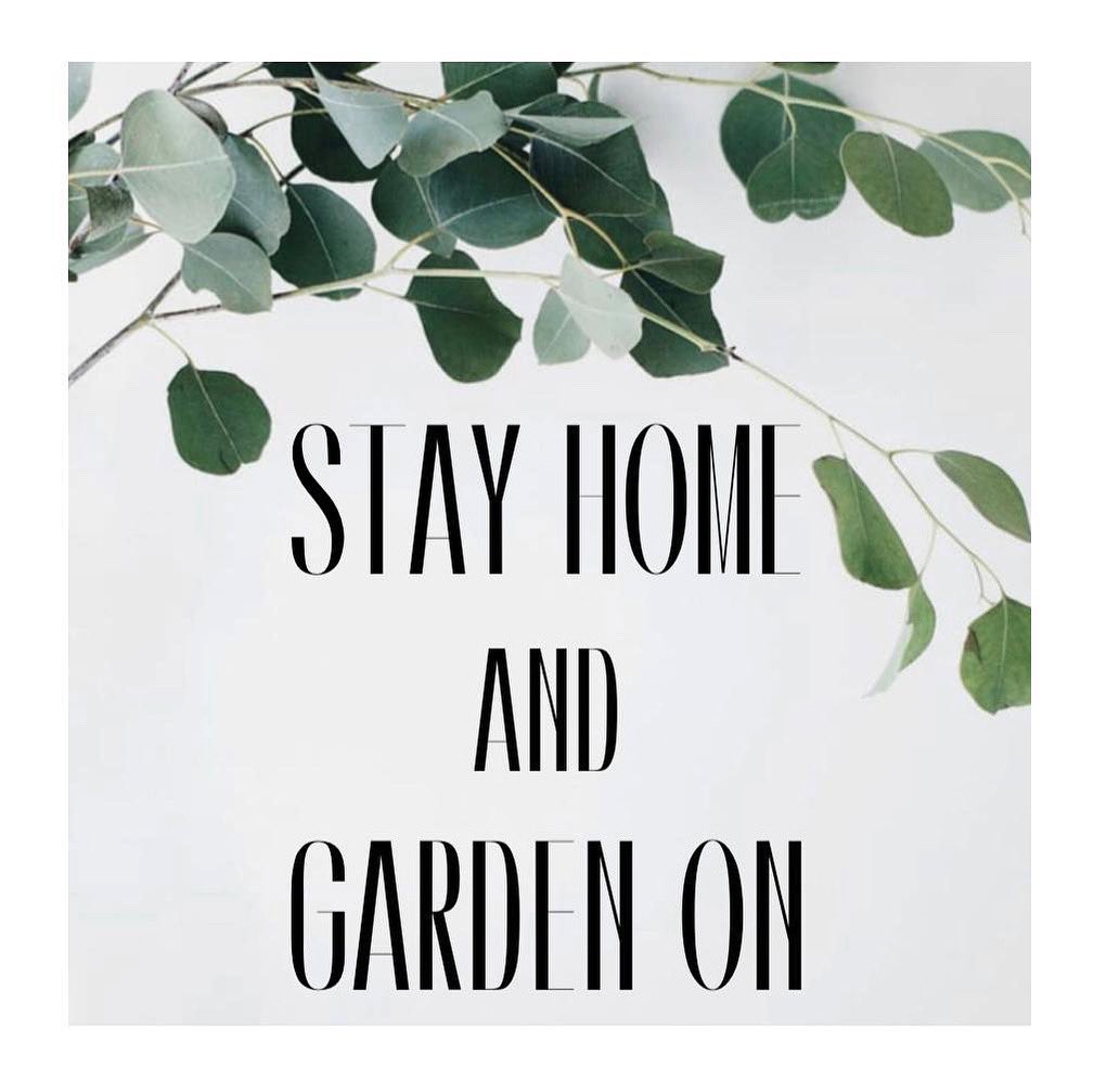 Theoldslateyard tweet media