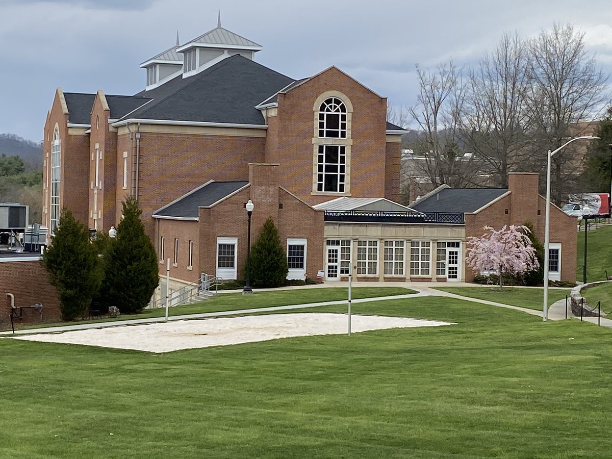msacline's tweet photo. The Campus Beautiful Misses you too 🐾💖🐾 https://t.co/tH86ODoS5S