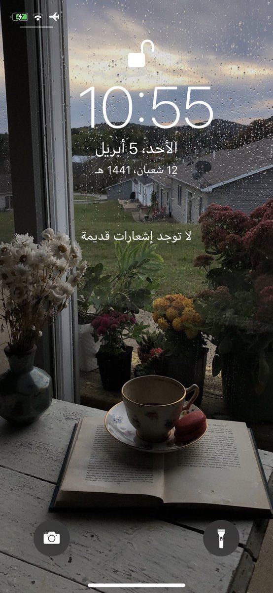52Tlool's tweet photo. @VixuaI https://t.co/ah1lR7kNPy