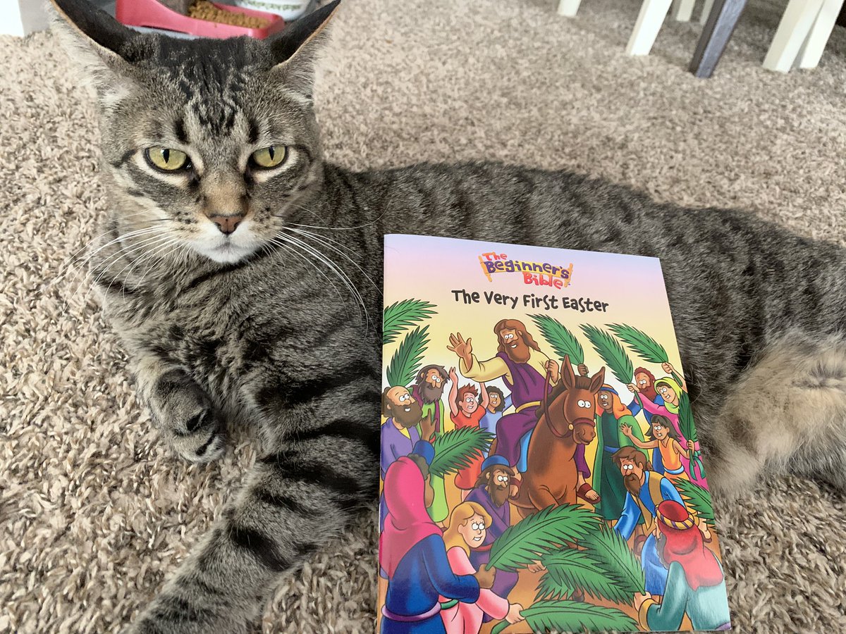 Cat picture of the day April 5 Palm Sunday: Jack is very excited about the live stream story reading for kids at the church from the apt tonight. He might make an appearance.