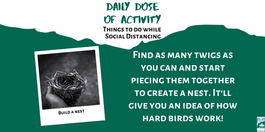 CincyParks's tweet photo. Here's your #DailyDoseOfActivity. Find some twigs and try to build a nest. It's more work than you think. π¦ https://t.co/2ggz2v7gBp