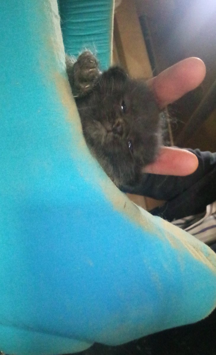 Eski sevgilim yazmıştır