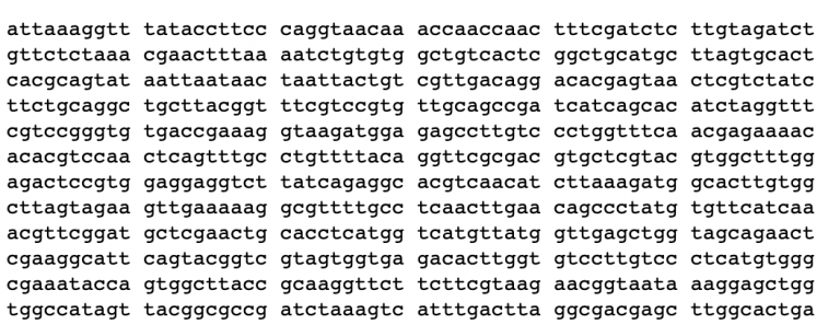 ¿Conocemos el ARN del virus?Sí, el ARN del virus es una secuencia unas 30.000 "letras" como la que veis aquí (traducidas a ADN):