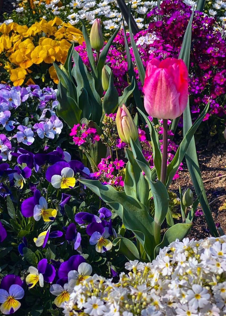 内田 吏 (Uchida Osamu) tweet media