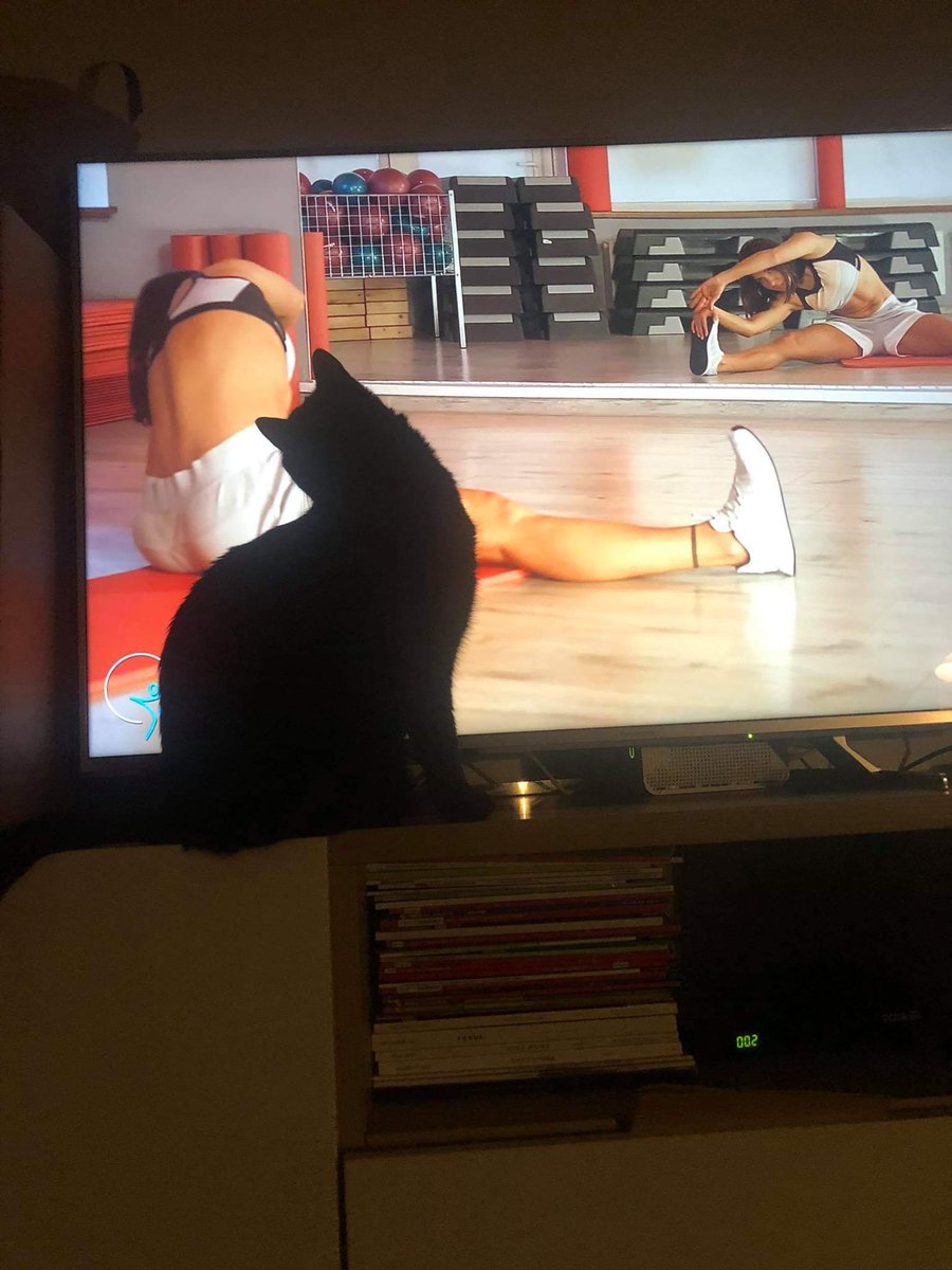 Everyone is working out with us during quarantine 🖤
#StayHome #StayAtHome #ExerciseAtHome #HomeWorkout