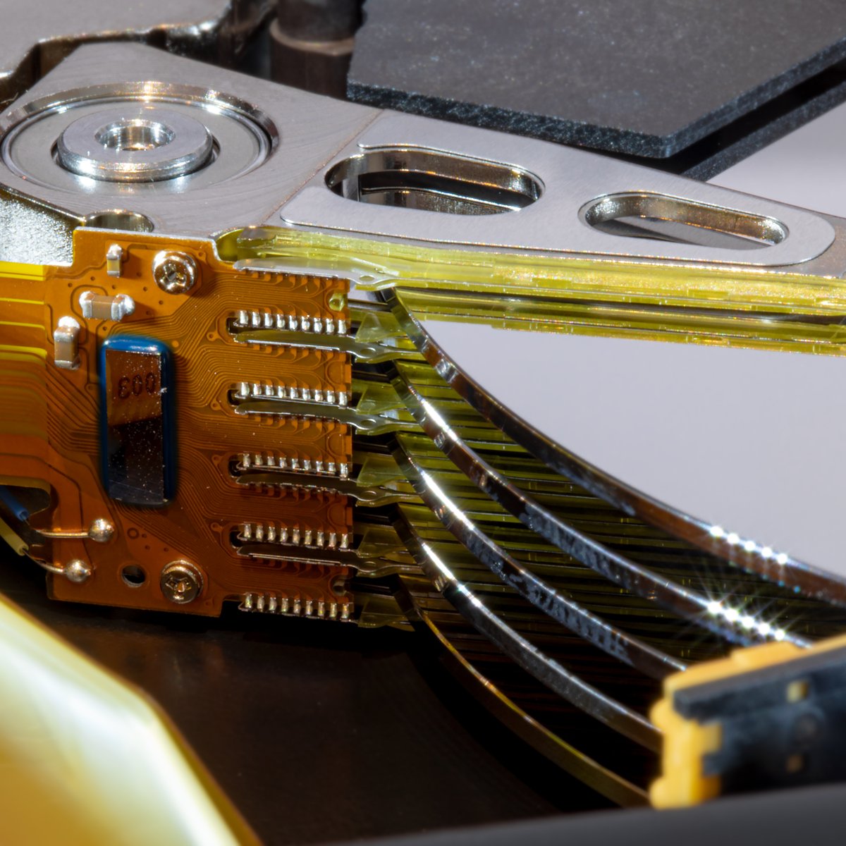 Protostack's tweet image. #macromonday #spinningrust