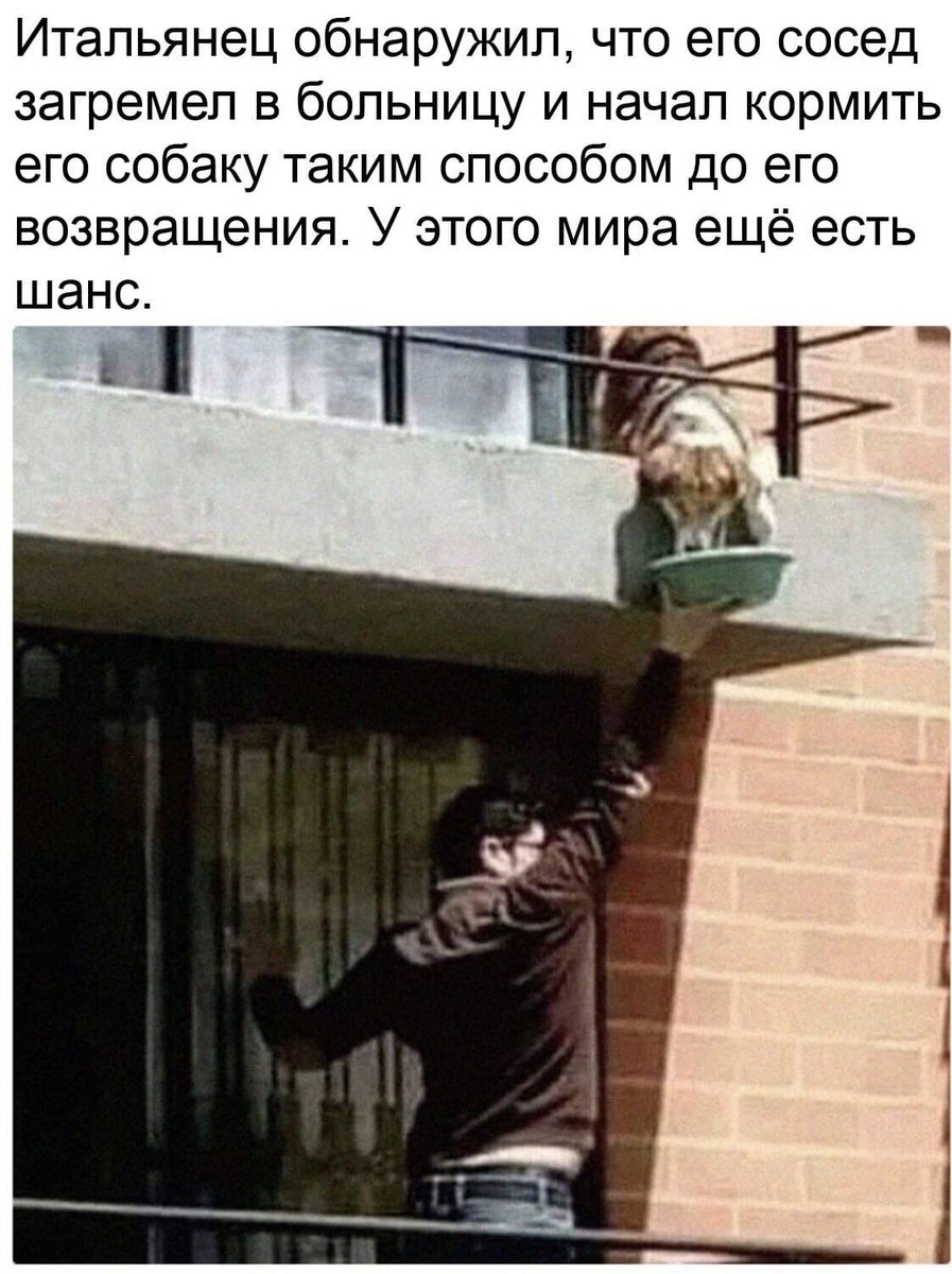 twit_impressive's tweet image. Дoброты поcт #впечатляет