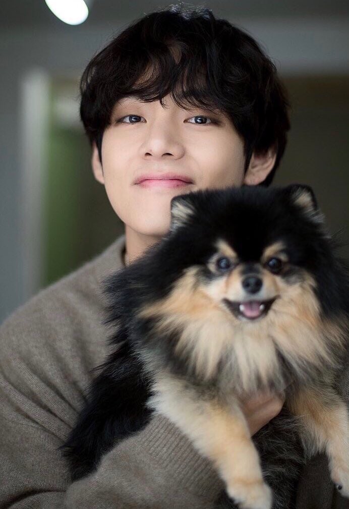 louis tomlinson as kim taehyung a thread: