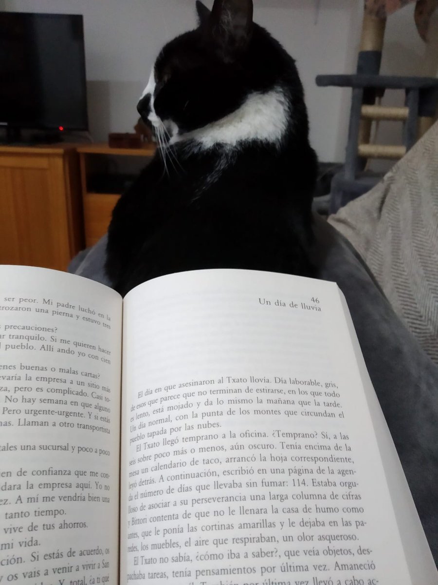 ManuelM03750920's tweet photo. @Serendipia_CR #librosutra con gato siempre encima 🤦♂️😜 https://t.co/OKqsE896C0