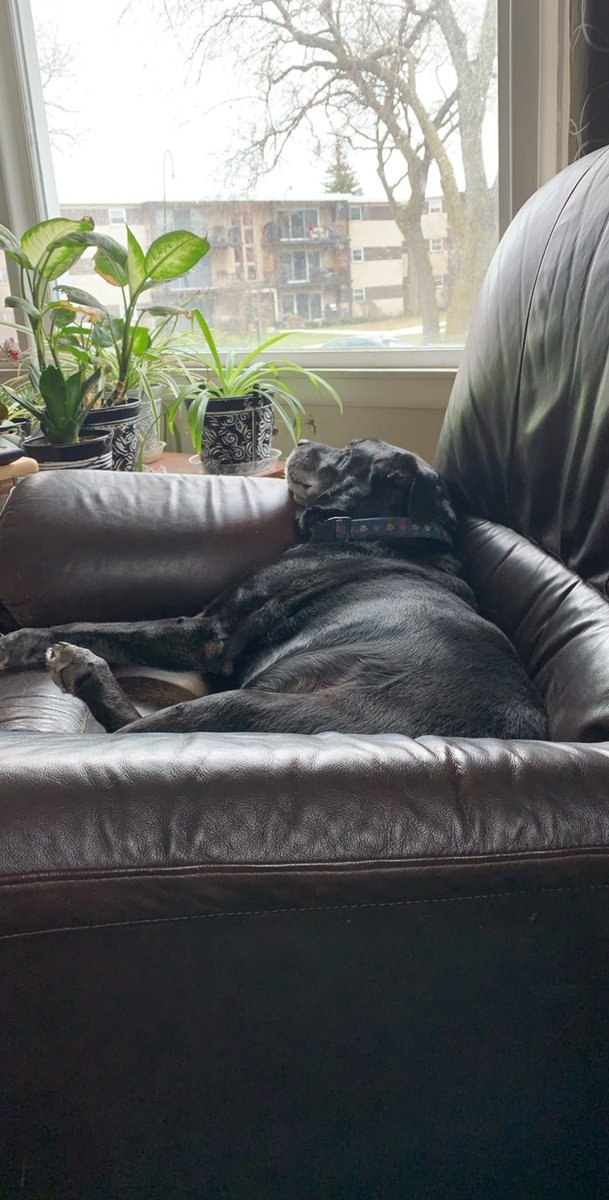 Kelly Bartosz tweet media