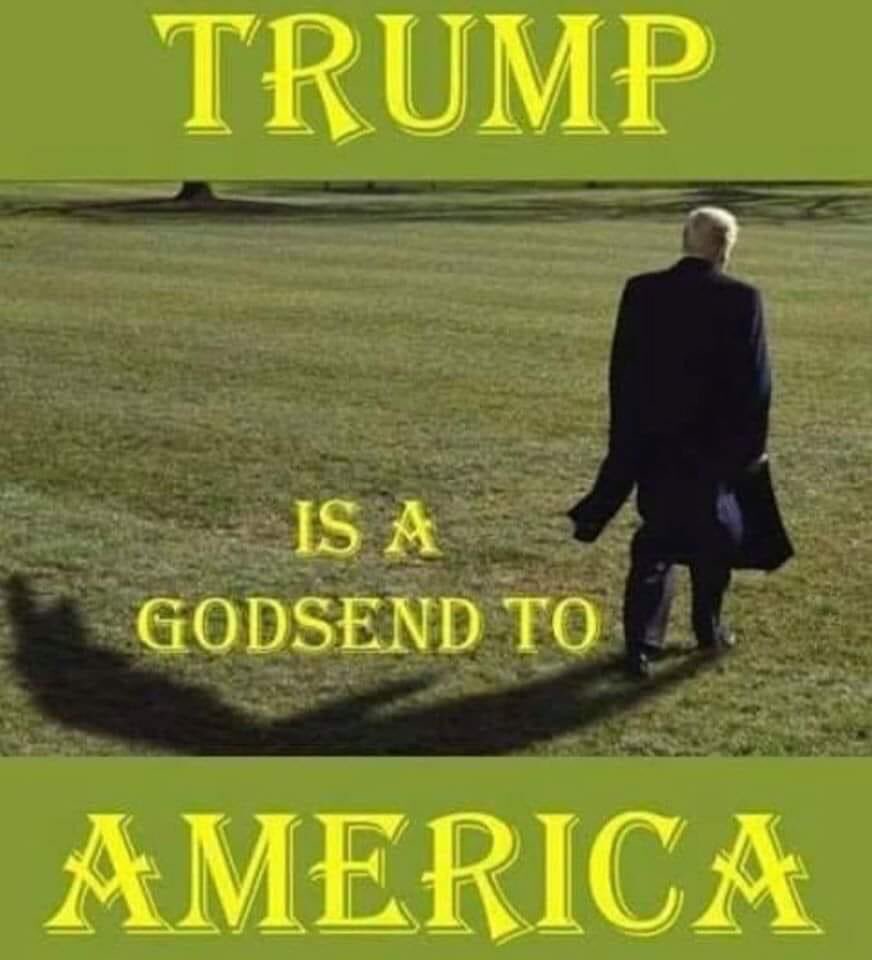 wolfeman50's tweet photo. TRUMP 2020🇺🇸🇺🇸🇺🇸. https://t.co/o458n4fb54
