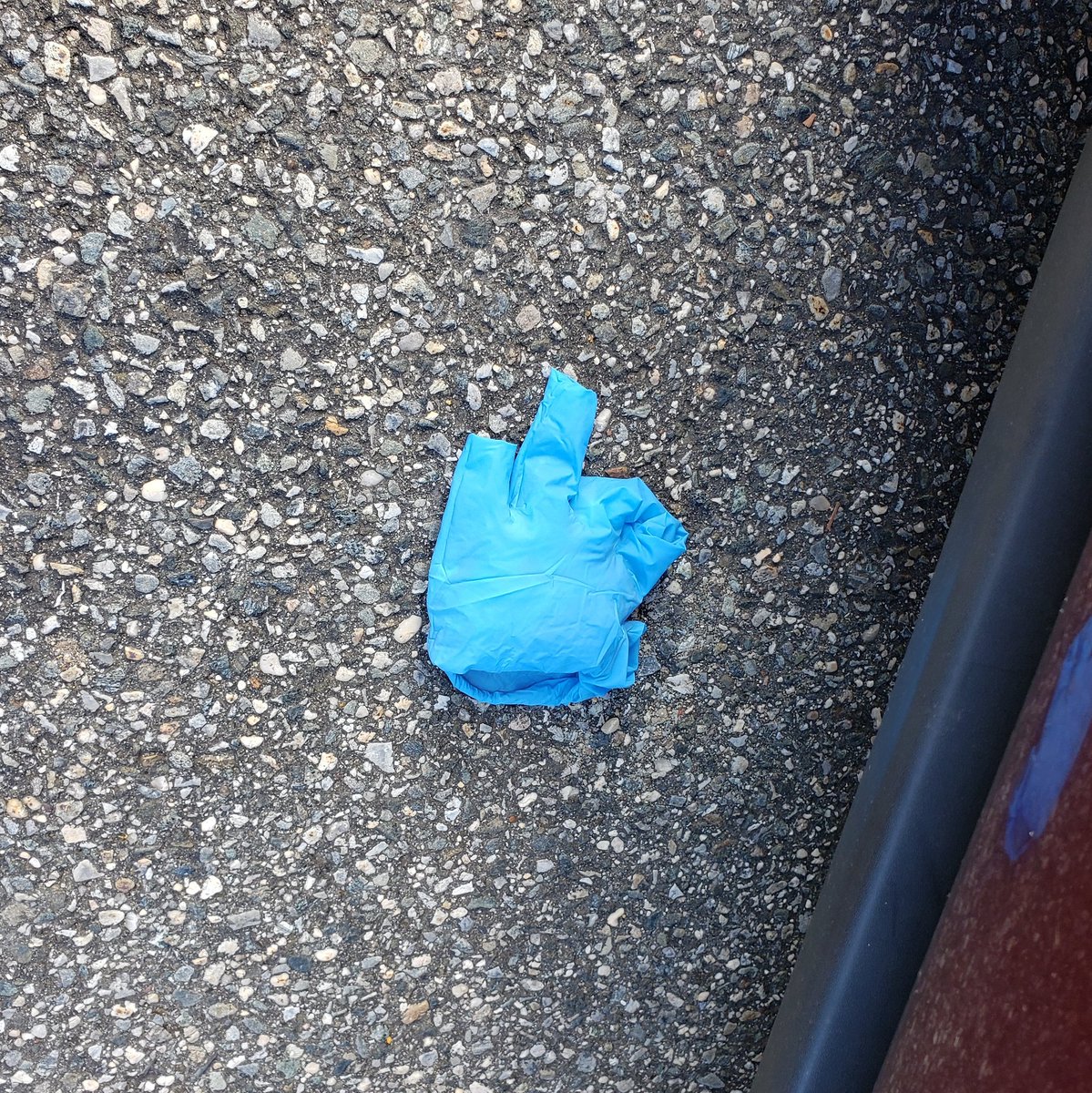 FutureBoyChris's tweet photo. If I see you out in the world, throwing a glove or any other goddamn thing on the ground, I will publicly embarrass the shit outta you, where you stand. #Promise #YeahFuckYouToo #COVIDIOTS https://t.co/c48c2cQWCM