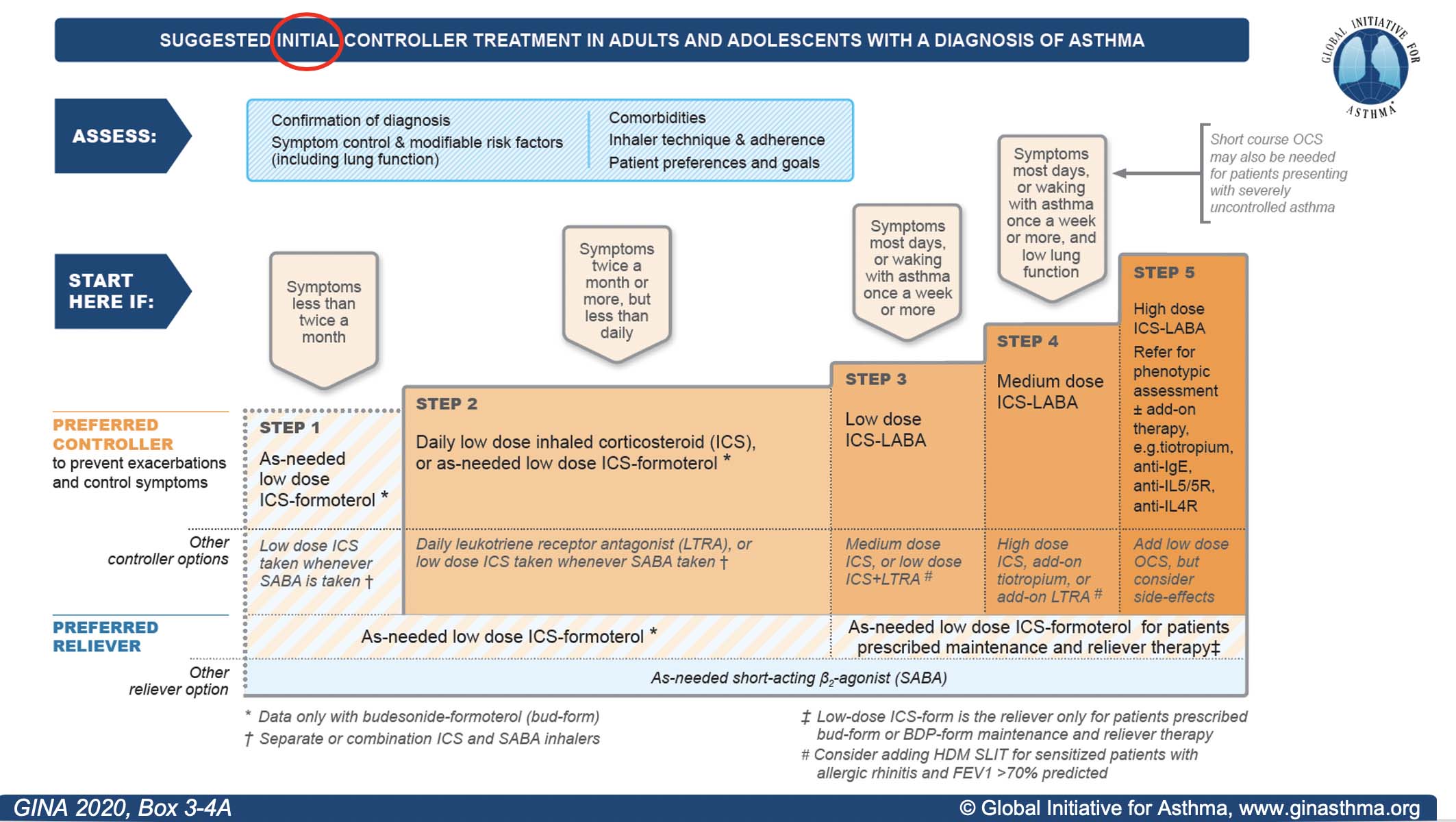 ступени лечения бронхиальной астмы gina 2019. бронхиальная астма 2021. ступенчатая терапия бронхиальной астмы по gina 2019. ступенчатая терапия бронхиальной астмы gina 2021. ступенчатая терапия бронхиальной астмы 2021.