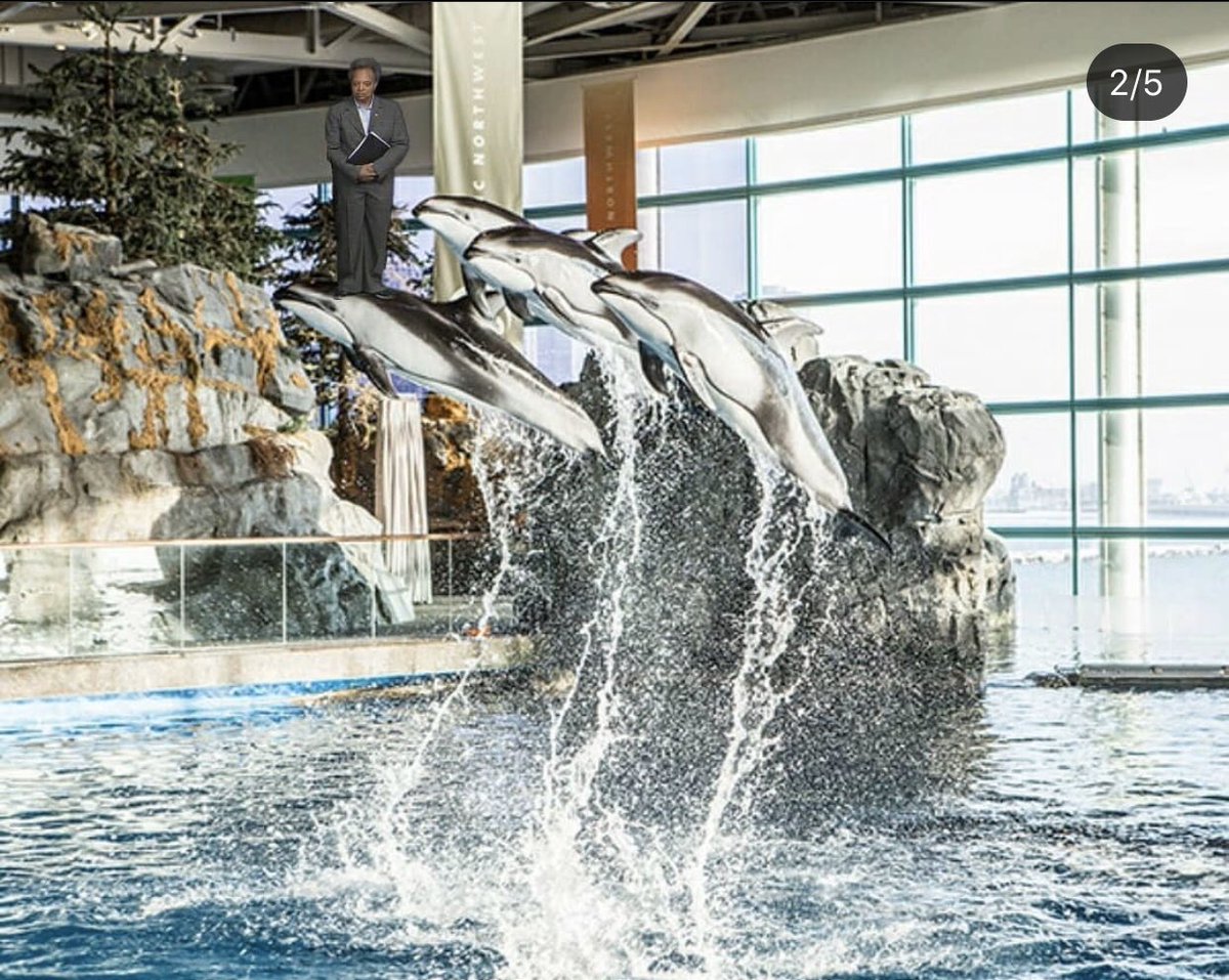 The Shedd is CLOSED. Mayor Lightfoot is watching!