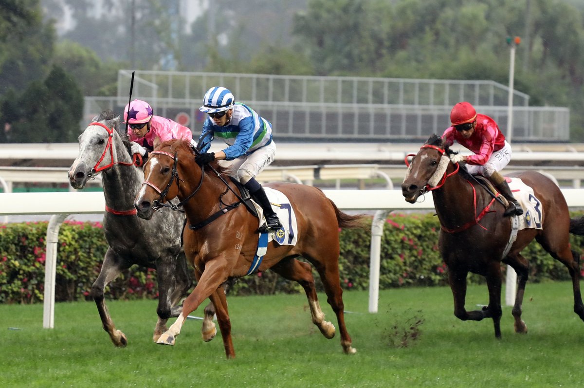 #VoyageWarrior (Declaration of War) relished the rain-affected track at Sha Tin to win the Gr.2 Sprint Cup (1200m) on Sunday. <a href="/KarakaChat/">New Zealand Bloodstock</a> <a href="/henleypark1/">Henley Park</a> 
racingnews.co.nz/voyage-warrior…