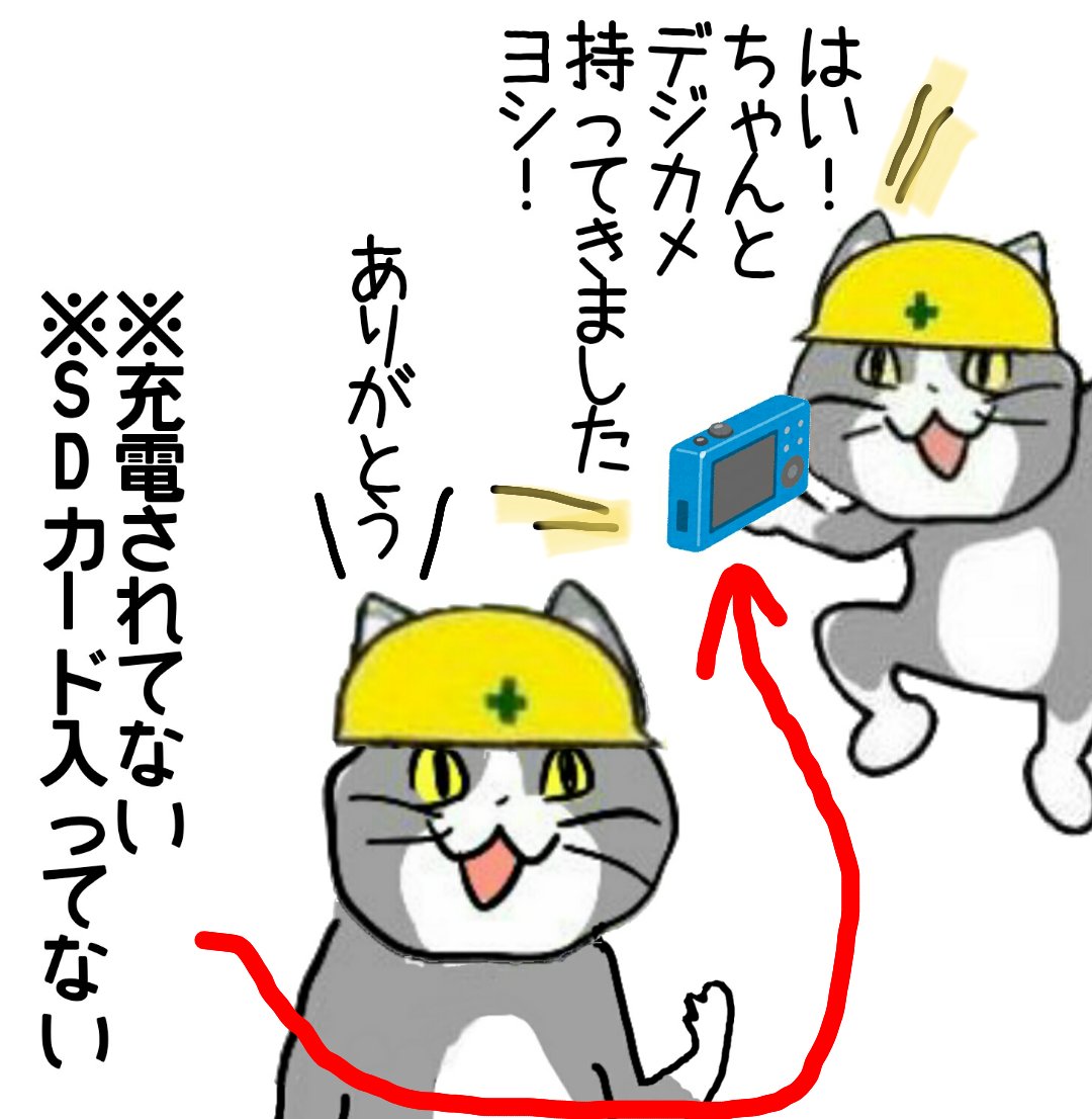 最速 安全猫 どうして 最速 安全猫 どうして