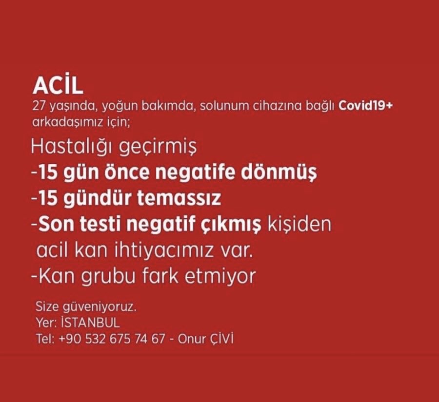 Sema Akdemir tweet media