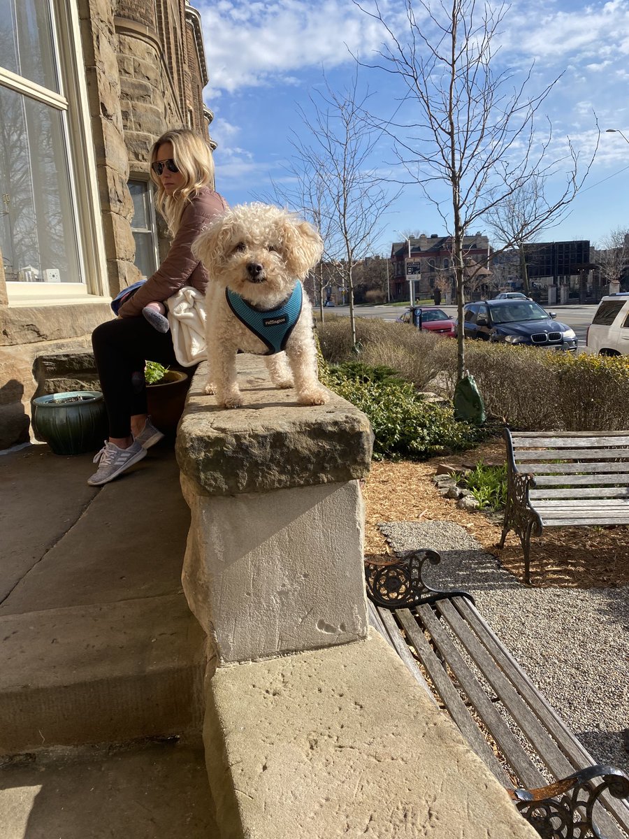 HunterScrumbles's tweet photo. Nice day in the D! https://t.co/qUB60kfS6d