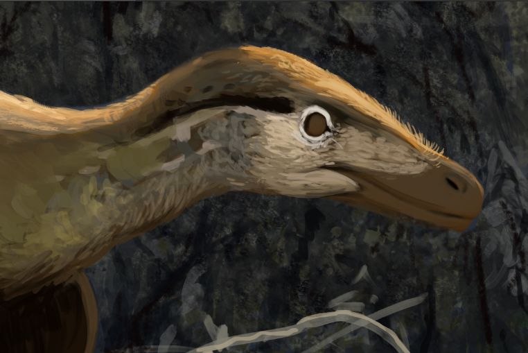 AttwellLucas's tweet photo. Working on something....
#wip #digitalart #paleoart #dinosaur #velociraptor https://t.co/l66pqhJn4U