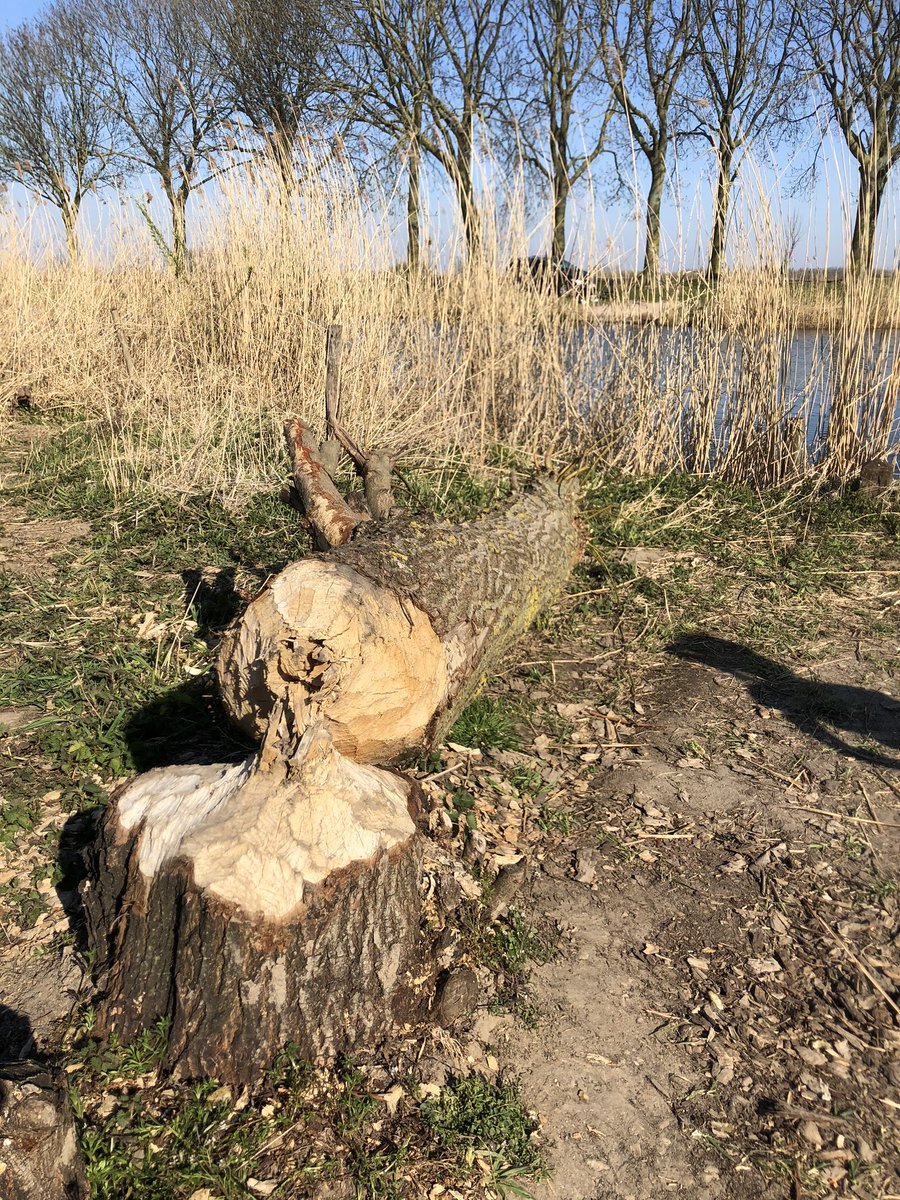De #boerenlandpaden zijn mooie manier om een frisse neus te halen. Wie wil er nog meer paden en heeft ideeën daarvoor in <a href="/bergendalgem/">Gemeente Berg en Dal</a>?