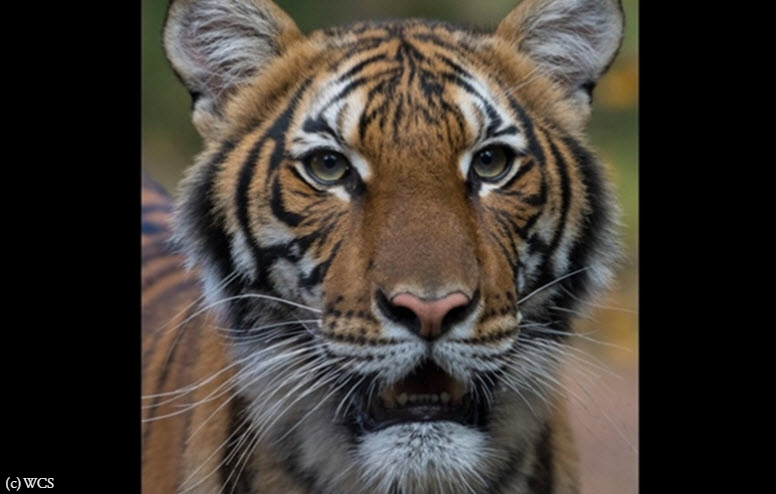 Science, Space & Robots tweet media