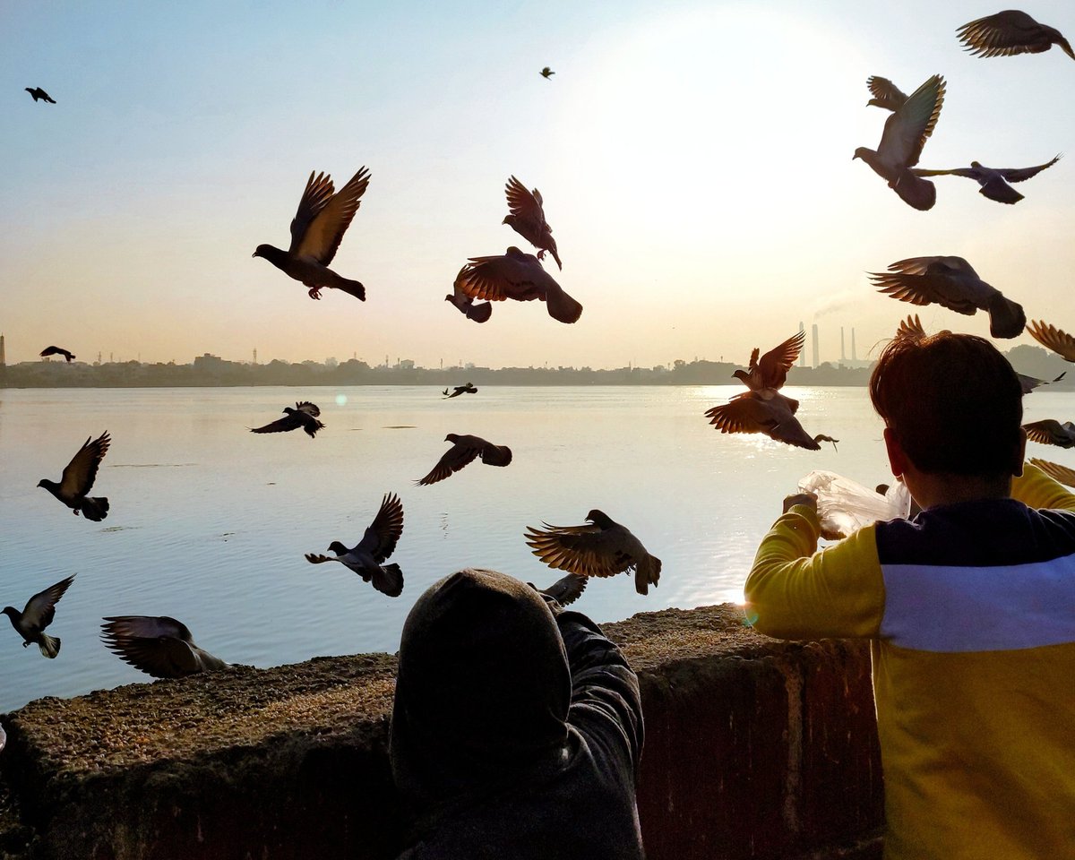 deepak_txt's tweet photo. A thread with some of my *Best* clicked photos.
All photos are shot on my phone.
Location - Kota, Rajasthan https://t.co/reb3t1U9H4