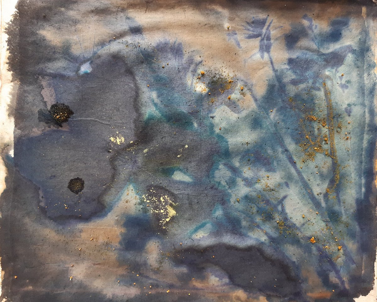 meldewey_photos's tweet photo. Weekend #creative #distractions and #cyanotypes with #camerlessphotography. On #himilayan #washi #Paper pressed & fresh #flowers Composition with water #turmeric #salt. 2hrs π #exposure.
#lockdown No.12 | Serendipitous|
#artistphotographer #leeds
#StayAtHomeSaveLives #covid_19 https://t.co/DGNjsM1qea