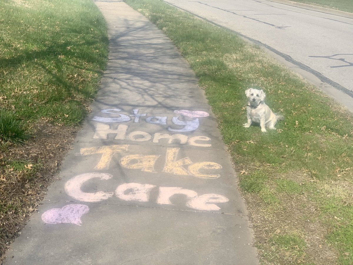 apetersenks's tweet photo. Sparks joy, Sunday 💕
https://t.co/70BkBNonrb #StayHomeKansas https://t.co/PzETEqvTop