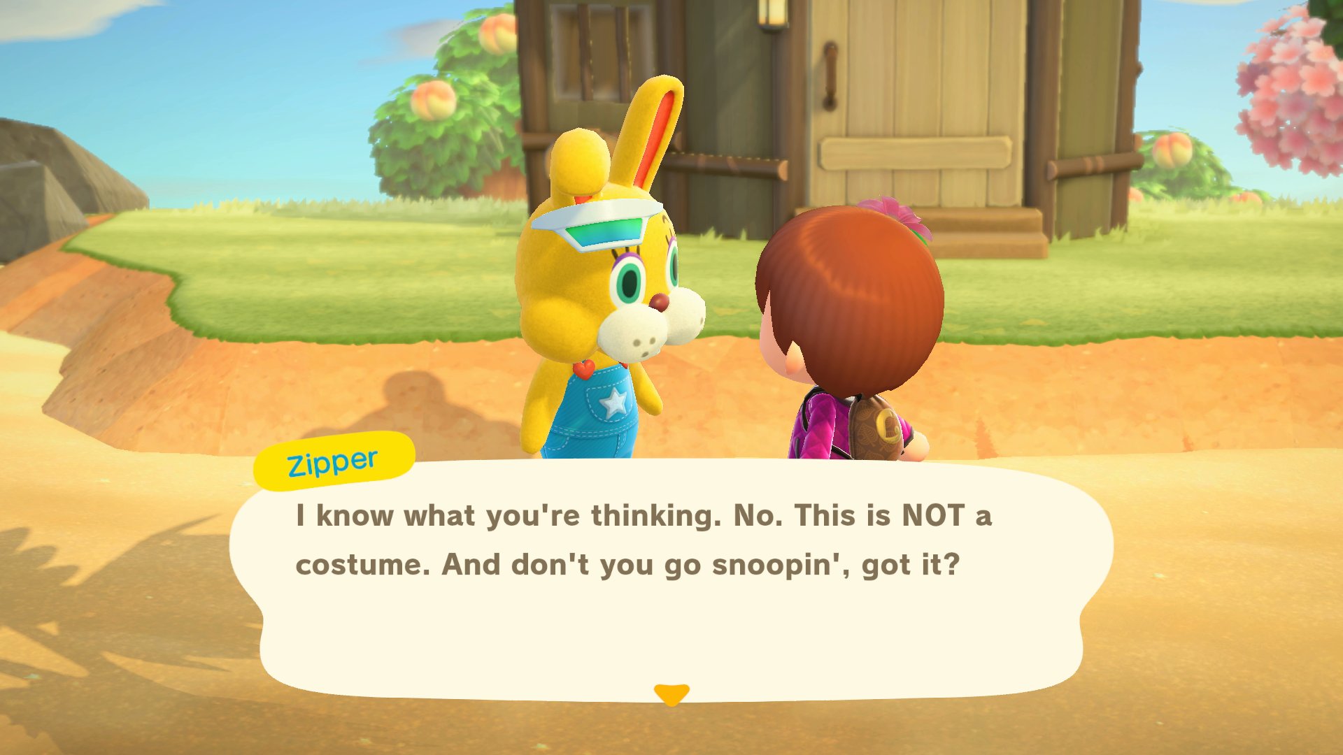 Animal Crossing World 🛩️🏝️ on Twitter: "Who's under the creepy Zipper T.  Bunny costume? 🤔 Top 4 liked replies will go to a poll tomorrow!… "