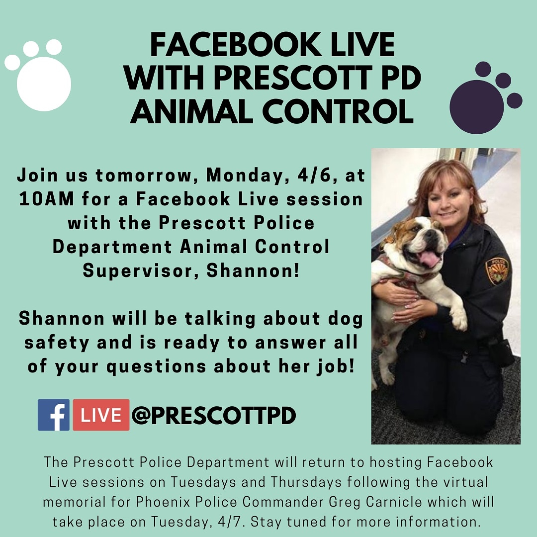 PrescottPD's tweet photo. Join the Prescott PD for #FacebookLive tomorrow as our Animal Control Supervisor talks about dog safety and answers your questions about her job! We're looking forward to your participation! 
#AnimalControl #COVIDKindness #PrescottPolice #PrescottPD #EverybodysHometown #Prescott https://t.co/vfK60drZcH