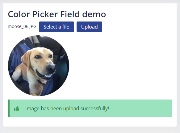 Just added a new mega-useful component, file uploader! It uploads right to AWS S3 with just a line of code.

You can specify the size of preview, id generation for uploaded files, and if file name should be shown.

#SaaS #React #startup #Pyth #AWS