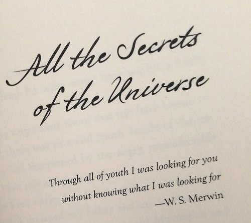 i'm rereading this book for like the 15th time so...my favourite quotes from "aristotle and dante discover the secrets of the universe", a thread