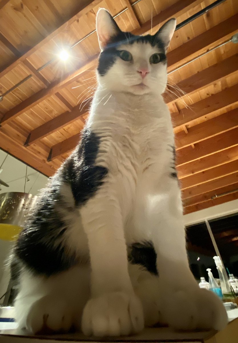 Zekeys_Mom's tweet photo. #ImDefinitelyCapableOf squashing that bug. https://t.co/qxvKcwX0g5