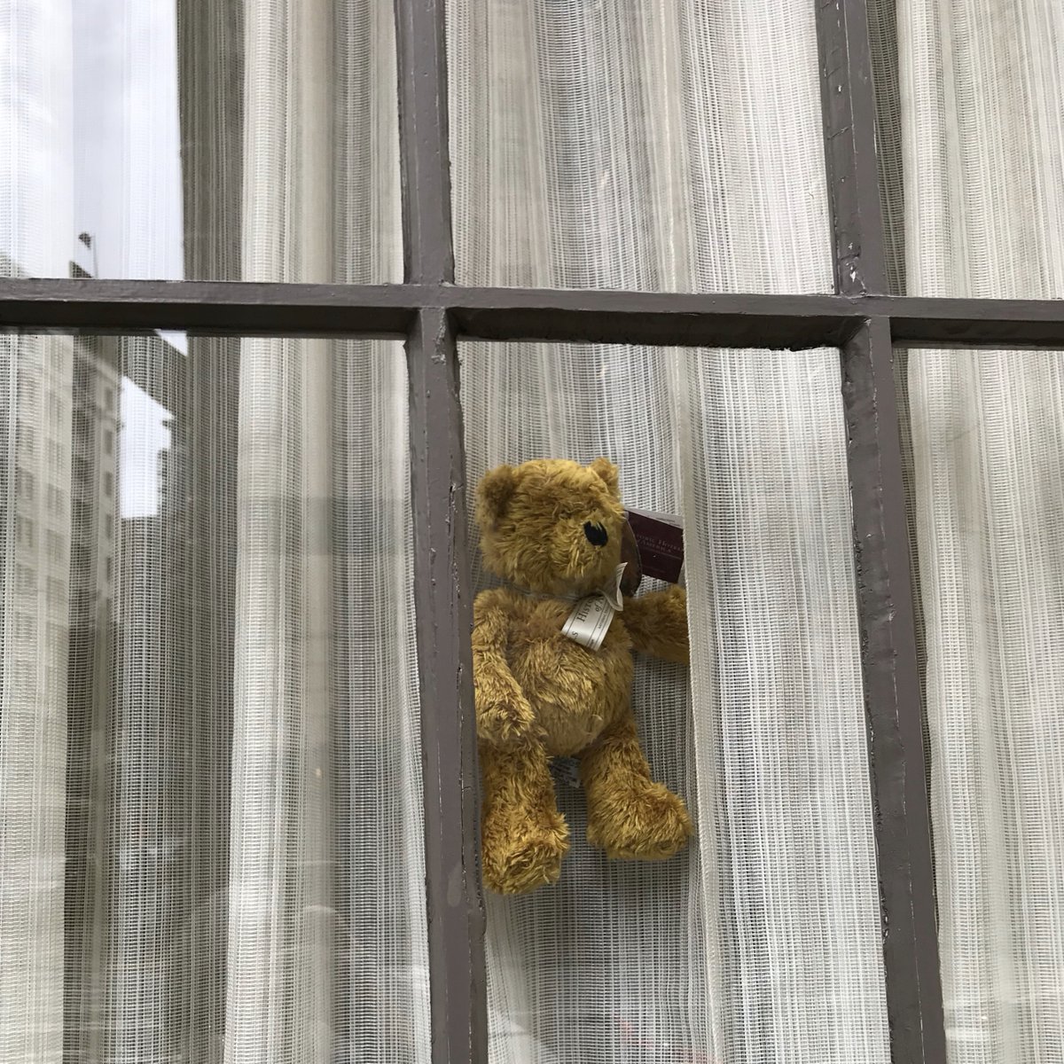 Oliver’s is participating in #TheBearHuntProject. Are you? Share your photos! 

More info: ow.ly/fCJO30qvatc

#StayConnected #HeartOfSeattle