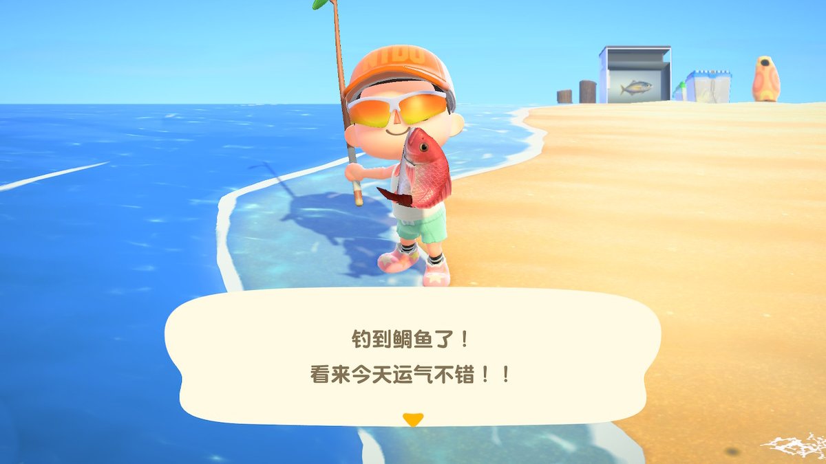 ColinHan1995's tweet photo. #动物森友会 #AnimalCrossing #ACNH #NintendoSwitch https://t.co/Hg5D73I3Oo