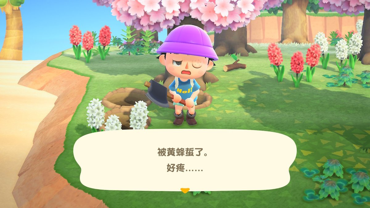 ColinHan1995's tweet photo. #动物森友会 #AnimalCrossing #ACNH #NintendoSwitch https://t.co/Hg5D73I3Oo