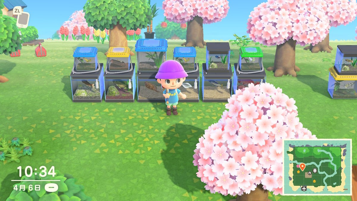 ColinHan1995's tweet photo. #动物森友会 #AnimalCrossing #ACNH #NintendoSwitch https://t.co/Hg5D73I3Oo