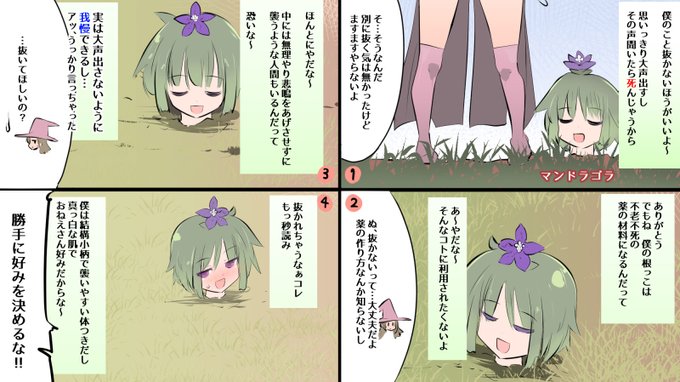 マンドラゴラボーイの4コマです🌼🌼 #おねショタ 