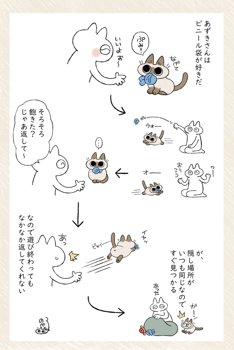 愛しのビニール袋 #シャム猫あずきさんは世界の中心 