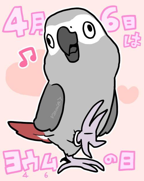 4/6はヨウムの日と聞いて 