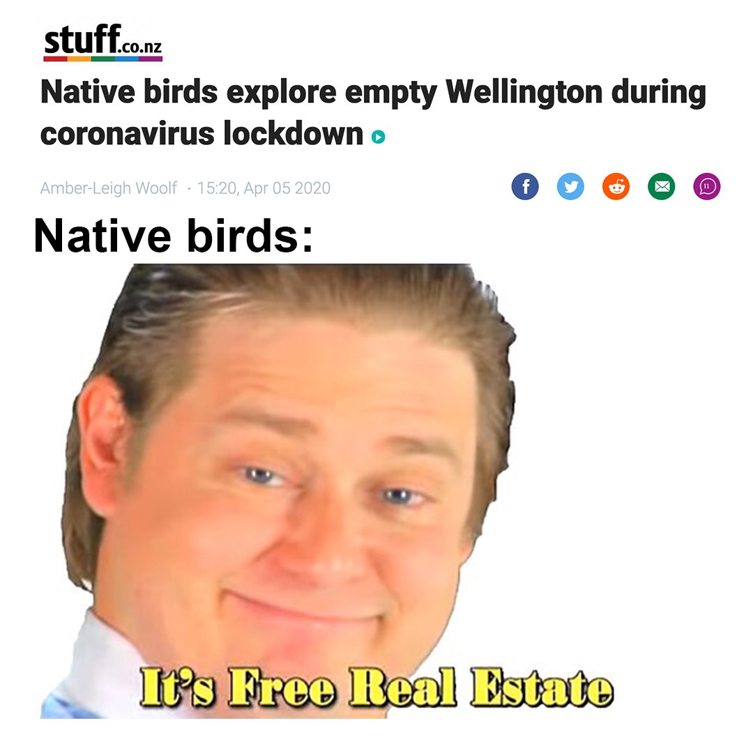 ¯\_(ツ)_/¯