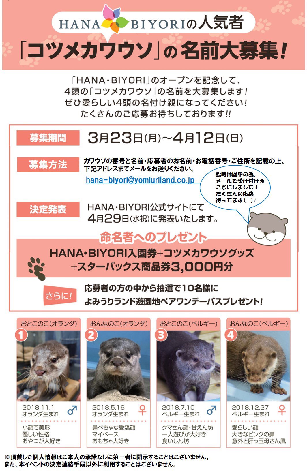 Hana Biyori 公式 カワウソ たちの名前を大募集 臨時休園中 に伴い 園内で実施していた4頭のコツメカワウソの名前募集を急遽メールにて受付いたします ぜひ愛らしい4頭の名付け親になってください 本日中にhpも更新いたしますが 詳しくは