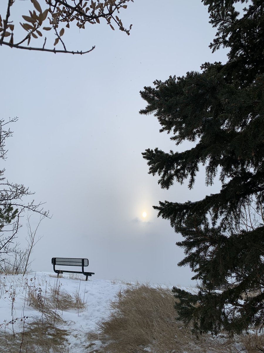 Denise13F's tweet photo. 3.8kms #earthathon #wintershuffle #LonelyPlanet #TheNewNormal #MindfulnessActivity #Hope #MentalHealth #EndTheStigma #MyTime #Therapeutic #PhotoOfTheDay #PhotosOfMyLife
#MindsEye https://t.co/mxabQhebpd
