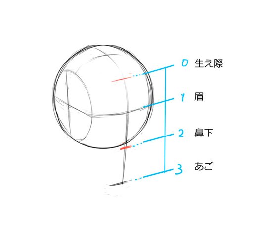 Forアニメーター در توییتر 描き方ポイント 顔編 リアルな人物像 リアルな絵とは意識的に描かれ 情報量の多い絵 です 単にリアルの写真を眺めるだけでは上達しません 顔の比率を意識し アタリの描き方を学習してみましょう いちあっぷより T