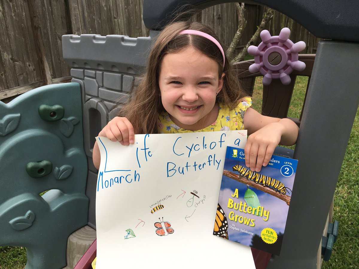 JahnJess's tweet photo. Thanks @steverswinburne for the inspiration for an easy reading/science lesson during our #remotelearning! She read the book, summarized it, and illustrated the life cycle of a Monarch! 🐛 🦋 https://t.co/zNCxRG91Qm