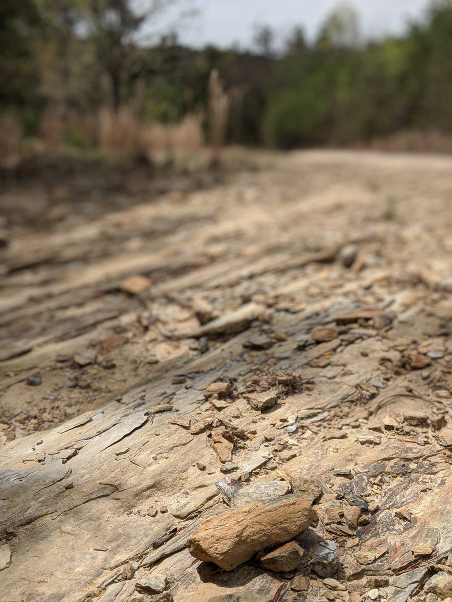 Vernlamern's tweet photo. #Saturdays are for #gravel! Thankful for an #outdoor sport during this madness. @roswellbicycles @GABikes @GeorgiaWild @iamspecialized #getoutside #pinelog #girlsgonegravel #cycling https://t.co/Q4FeUJbA7w