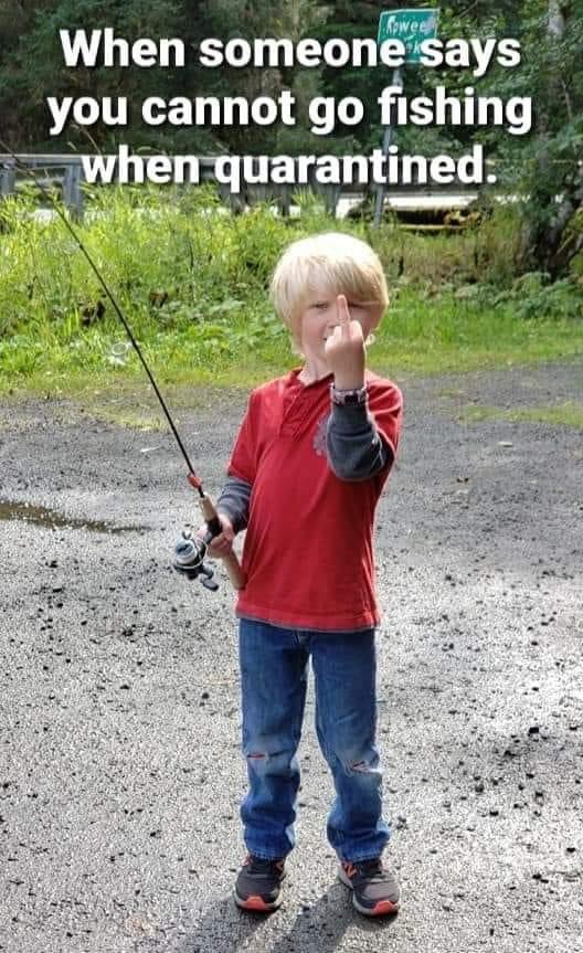 Greg kohne tweet media