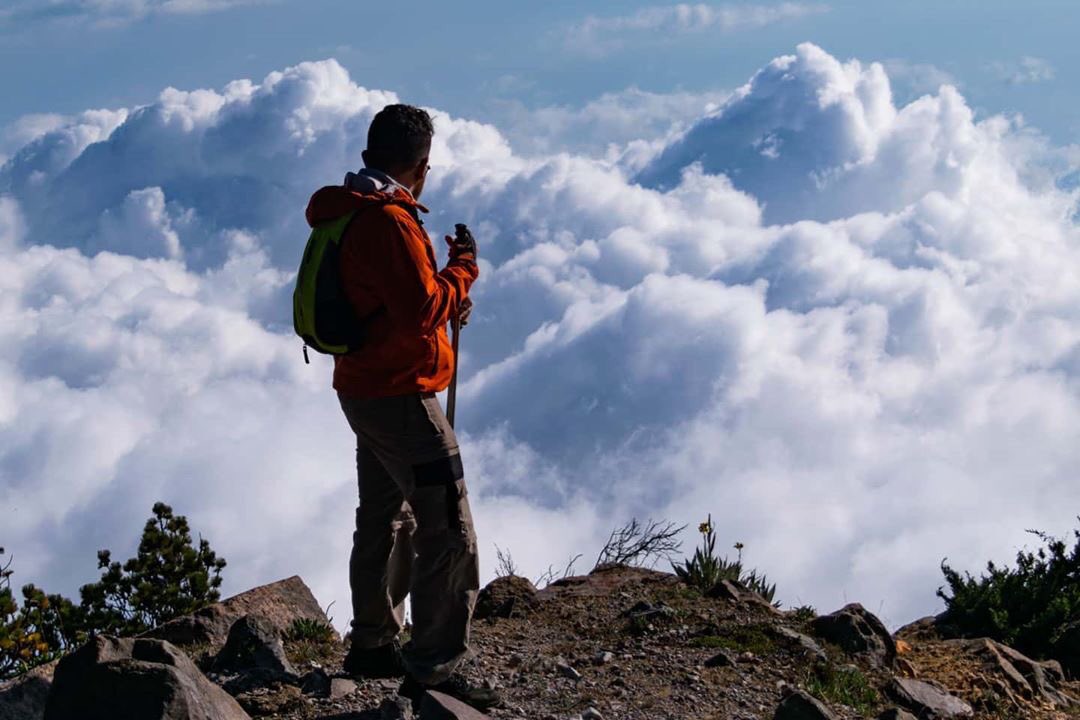 InspiraChiapas's tweet photo. La sensación de estar sobre las nubes es indescriptible. Volcán Tacaná.

Esto es #Chiapas
#VolcanTacana https://t.co/4G1fXeGomK